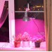 Светильник светодиодный полного спектра для рассады на окне "Алькор" 50-100Вт с отличным креплением на присосках